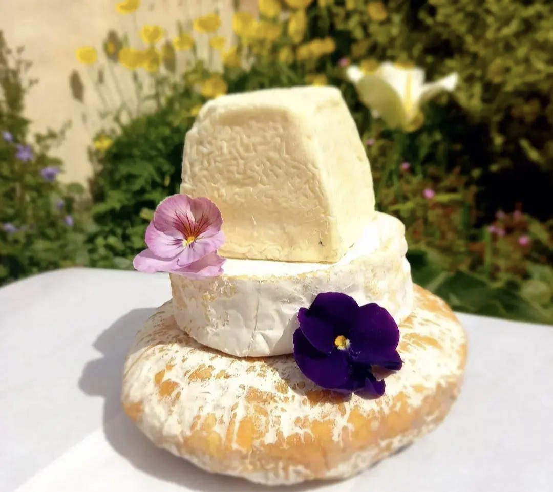 Celebration cake of cheese