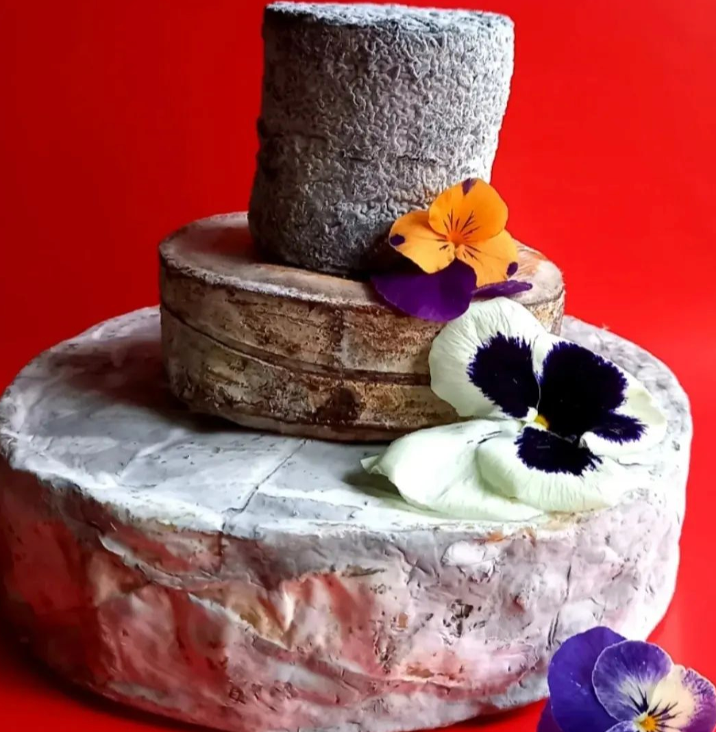 Celebration cake of cheese