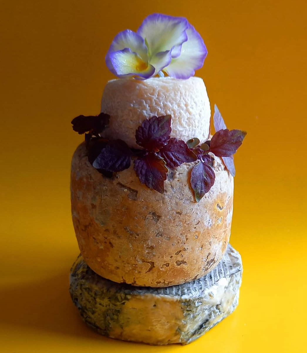 Celebration cake of cheese