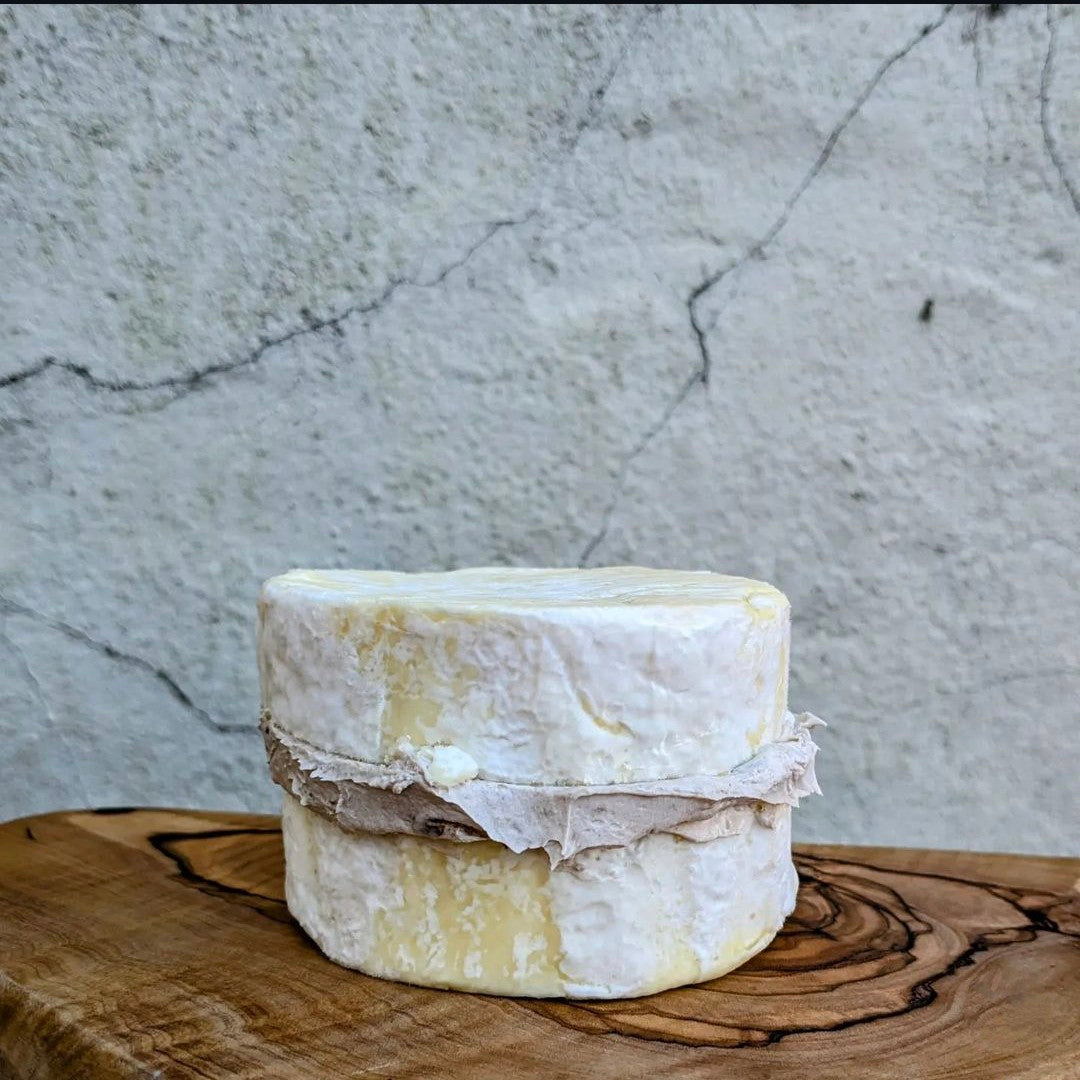 Brillat Savarin aux truffe